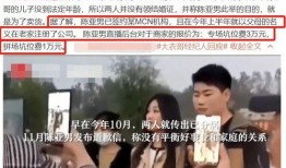 陈亚男爆料最新消息,揭秘事件背后惊人真相