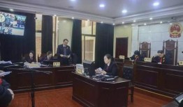 石家庄高邑爆料案件最新,真相渐浮水面，警方全力侦破中