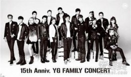 yg韩国最新爆料,揭秘娱乐圈背后的惊人真相！