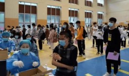 开平金山爆料事件最新消息,最新进展及影响揭秘