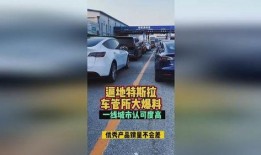 绿园区车管所最新爆料,车管所改革动态及便民措施全解析